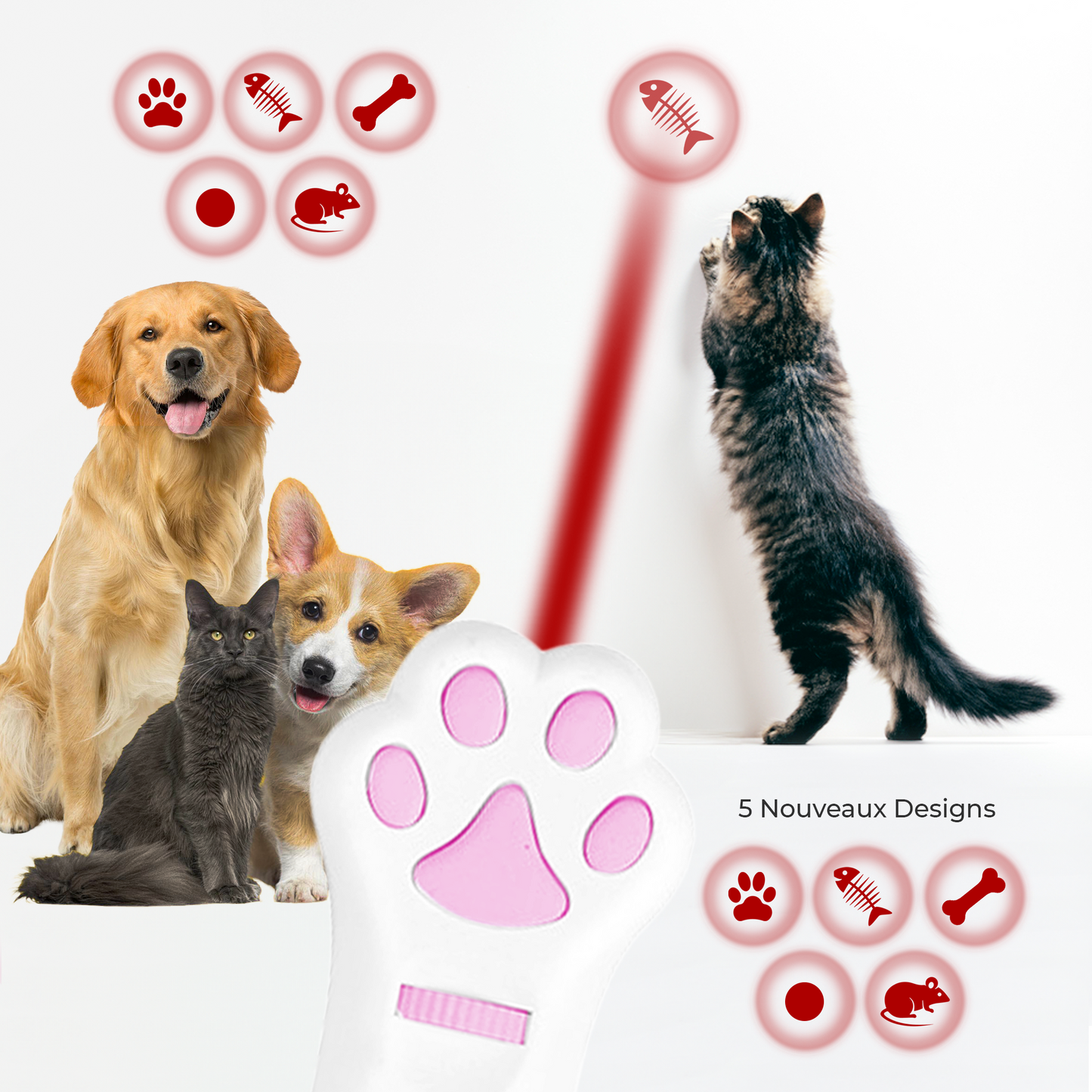 Jouet interactif LED pour chat et chien