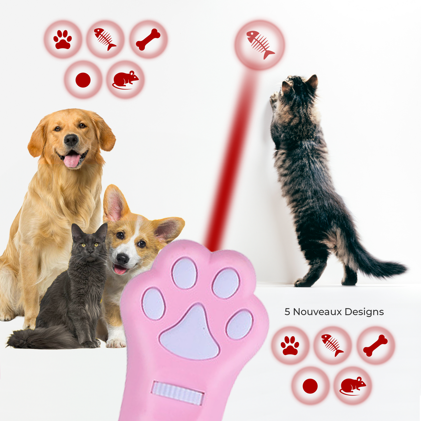 Jouet interactif LED pour chat et chien
