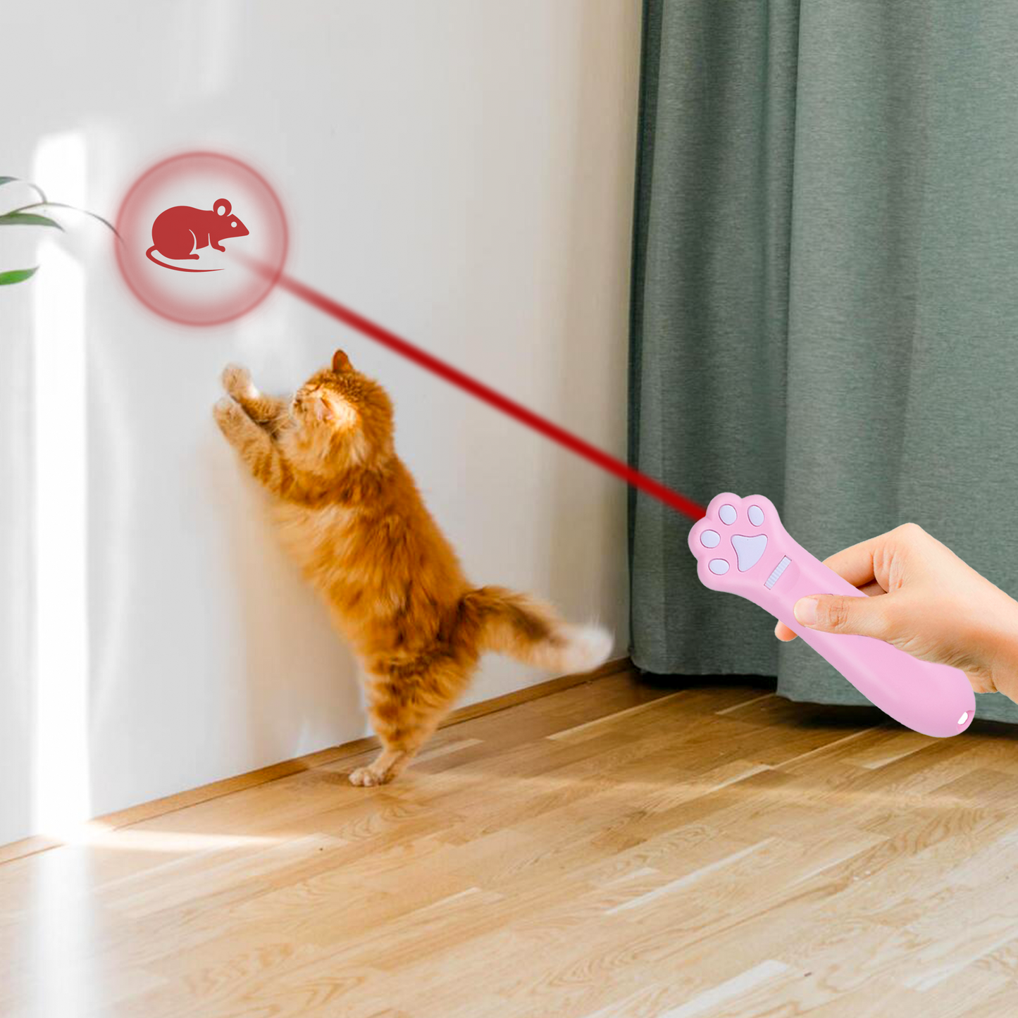 Jouet interactif LED pour chat et chien