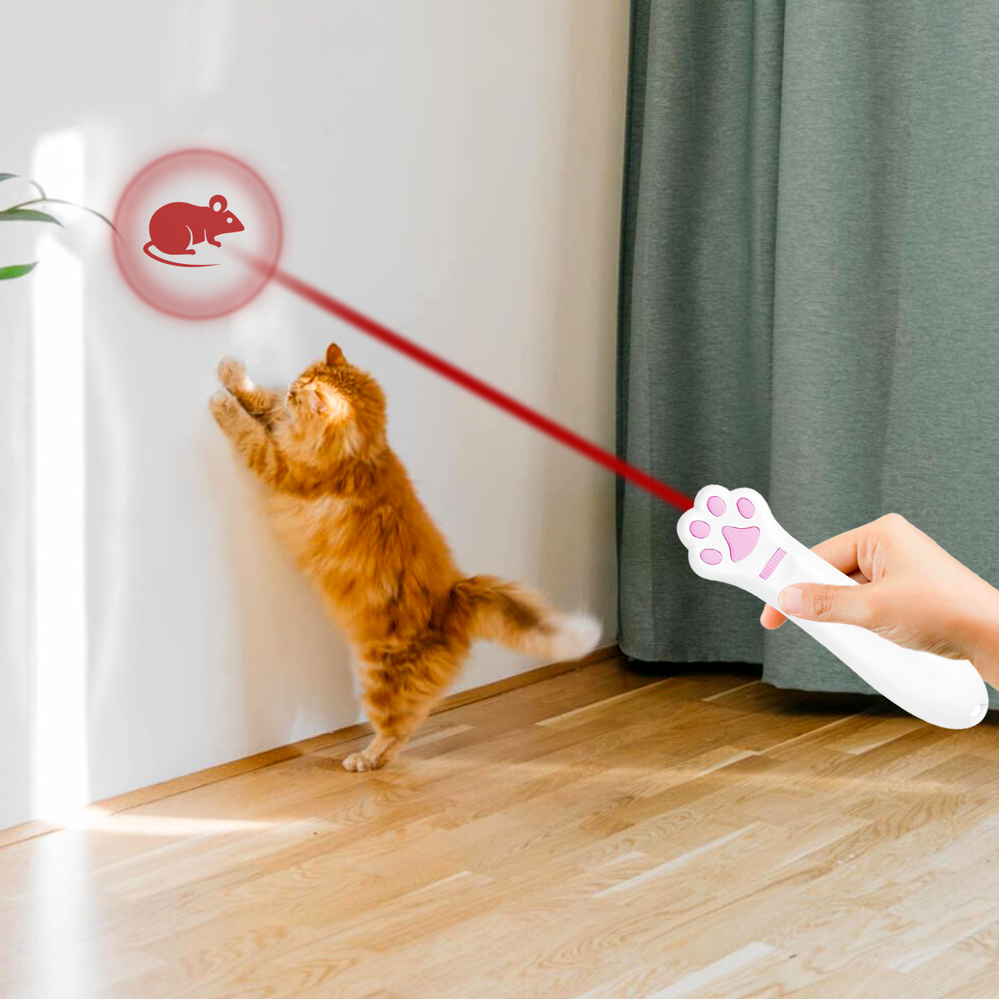 Jouet interactif LED pour chat et chien