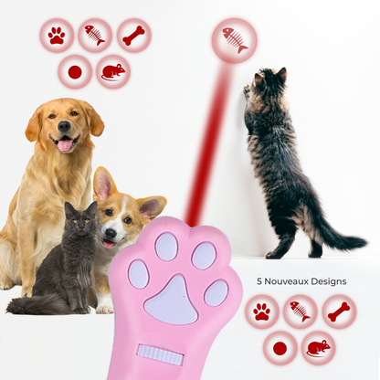 Jouet interactif LED pour chat et chien